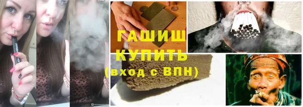 индика Арсеньев