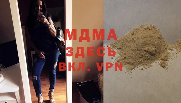 шишки Аркадак