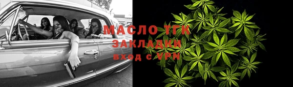 индика Арсеньев