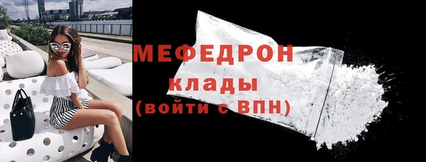индика Арсеньев