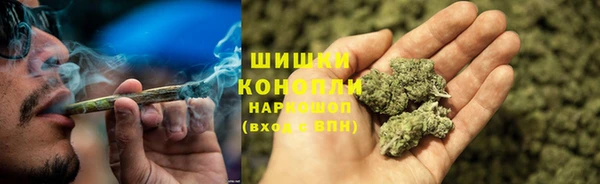 шишки Аркадак