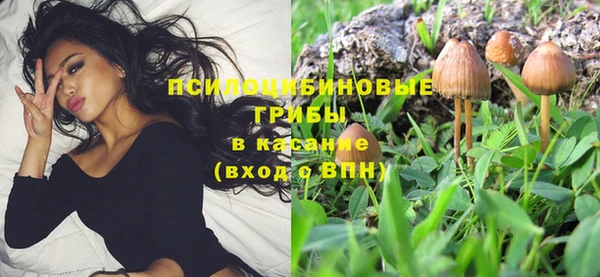 шишки Аркадак