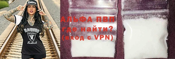 индика Арсеньев