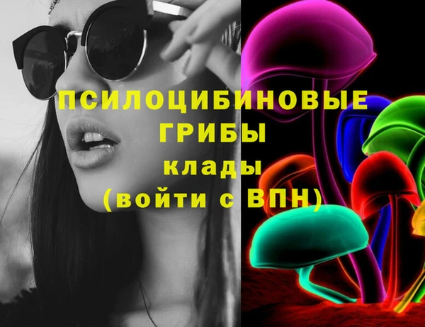 шишки Аркадак