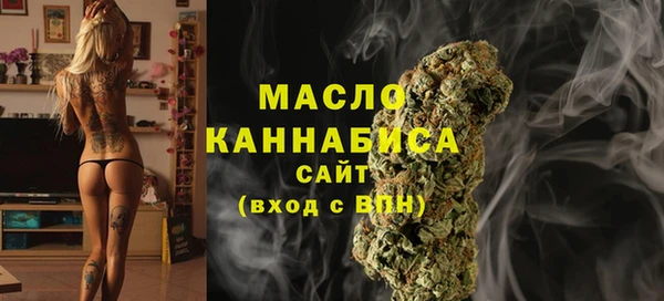 индика Арсеньев