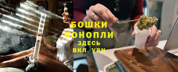 индика Арсеньев