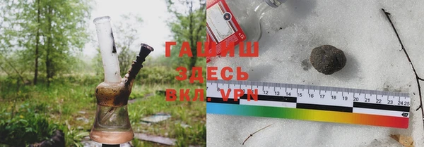 индика Арсеньев