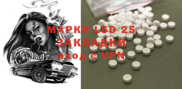 шишки Аркадак